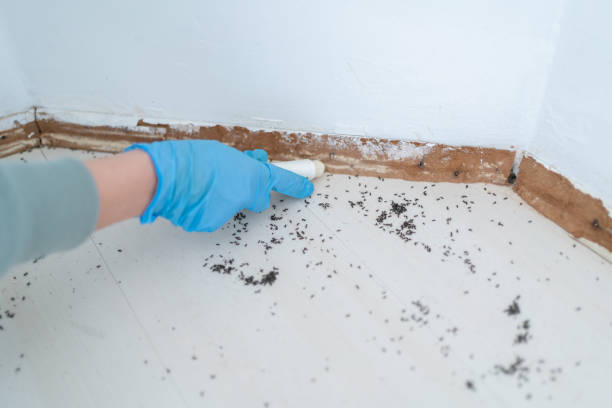 Best Residential Pest Control  in Holbrook, NY